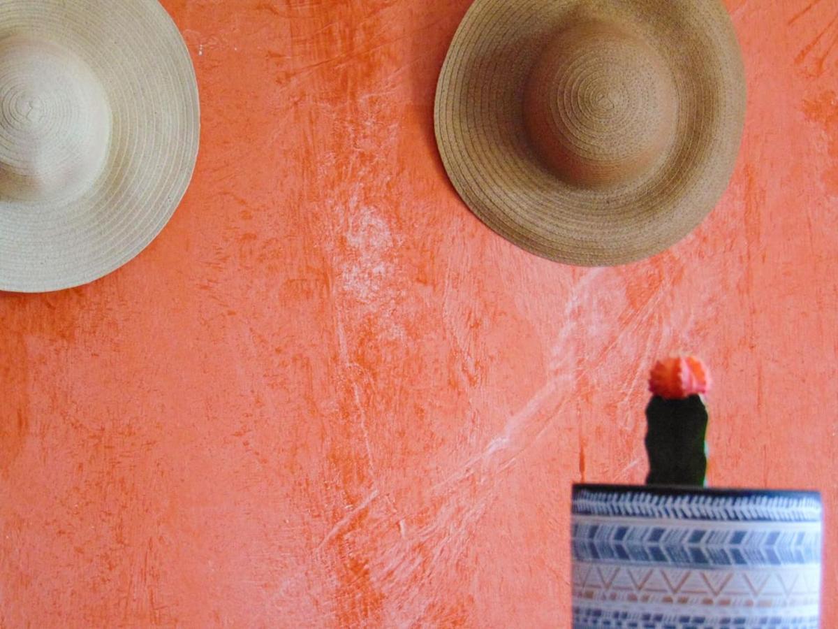 شقة The Orange Cactus أسبرطة المظهر الخارجي الصورة